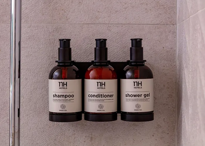 Nh Deusto 3* Бильбао